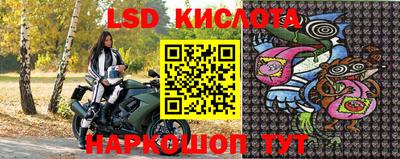 стаф Белореченск
