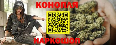 стаф Белореченск